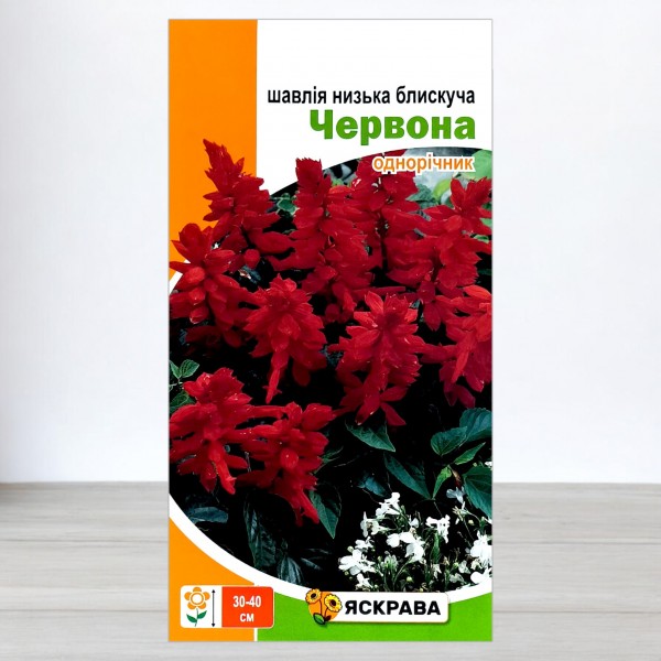 Насіння шавлії низької блискучої Червоної, Яскрава, 0,1г